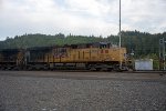 UP 8118